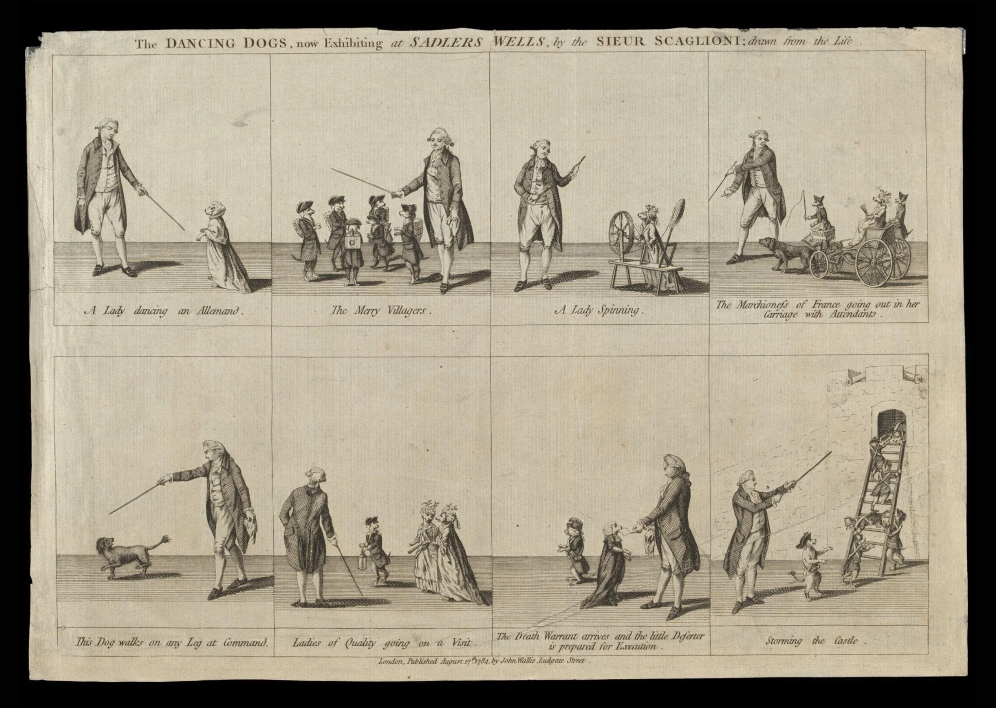 Print Collection, by John Wallis, 17