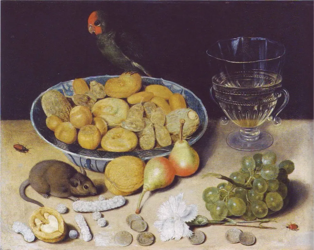 Meal with a Mouse and a Parrot