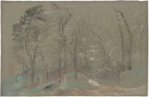 The First Snowfall