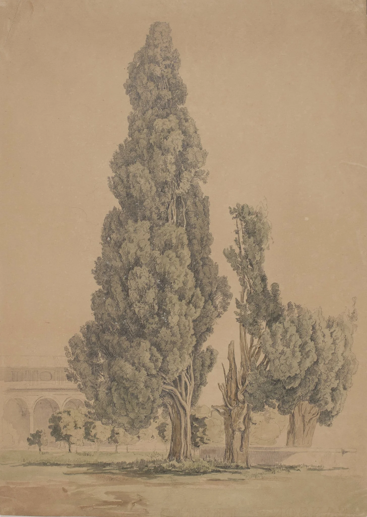 Cypresser, by Unknown, unspecified, 1850