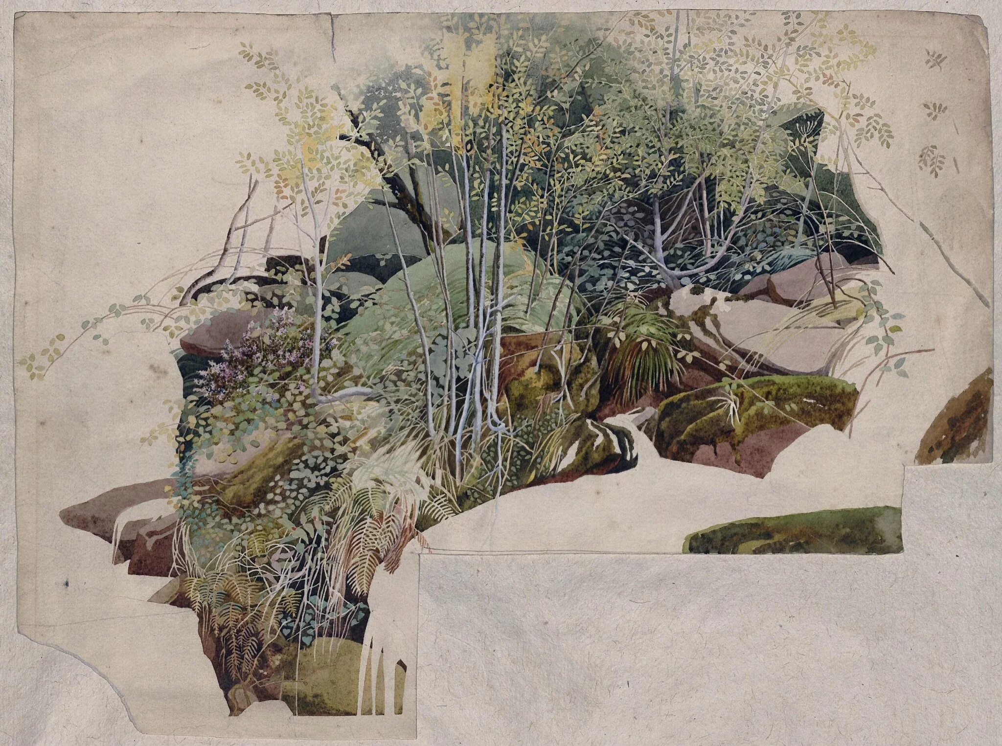 Untitled, by Sheldon Burrows Adams, watercolor, 1860