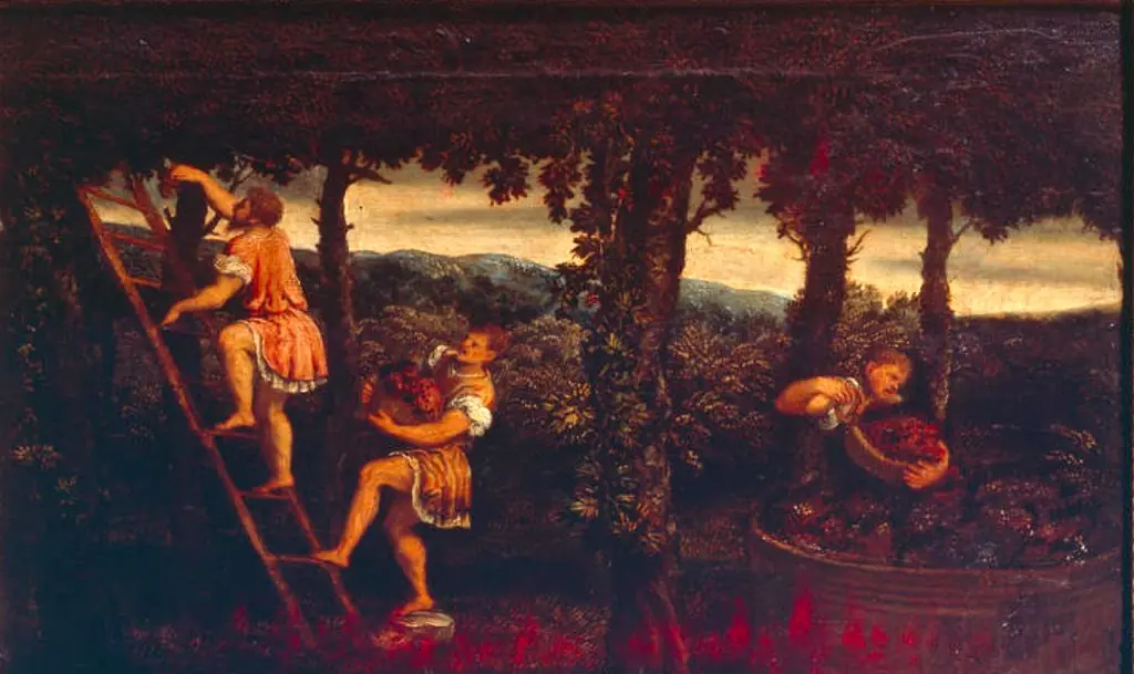 Harvest Scene