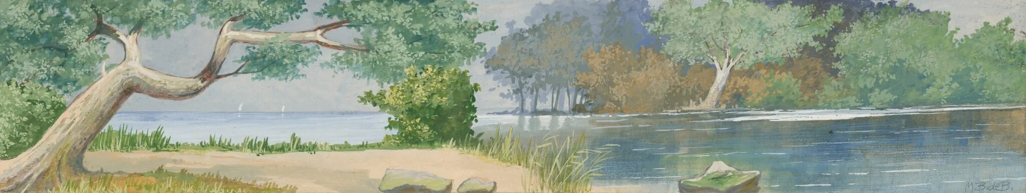 Coastal Seascape