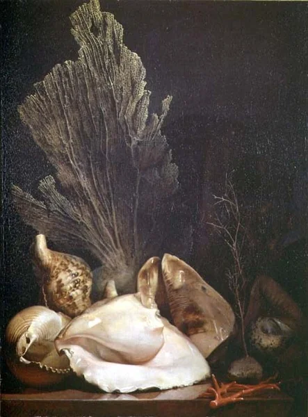 Still Life of Shells and Coral, by Antoine Berjon, oil, 1850
