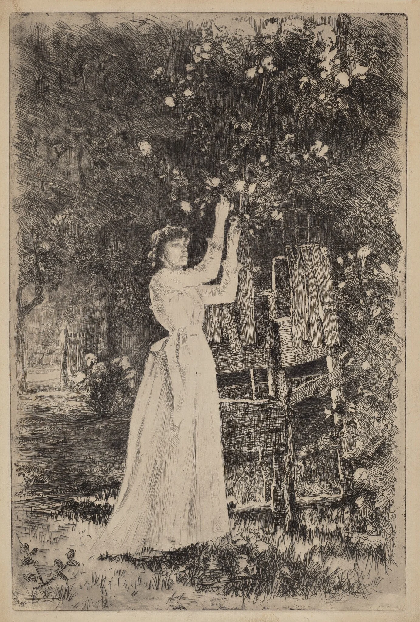 Untitled (Woman Picking Blossoms), by Charles Yardley Turner, ink, 1890