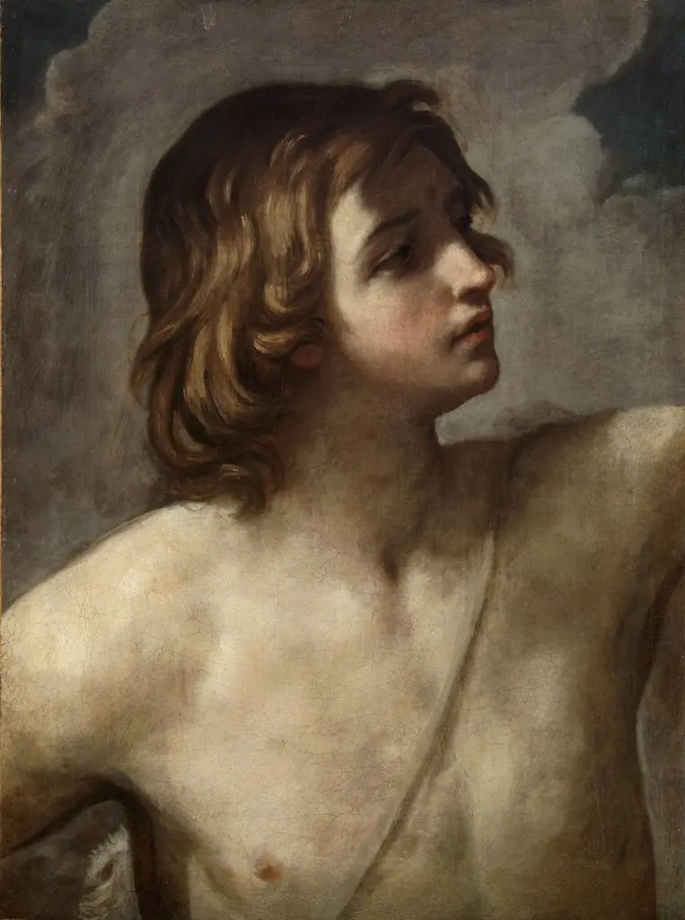 The Young David