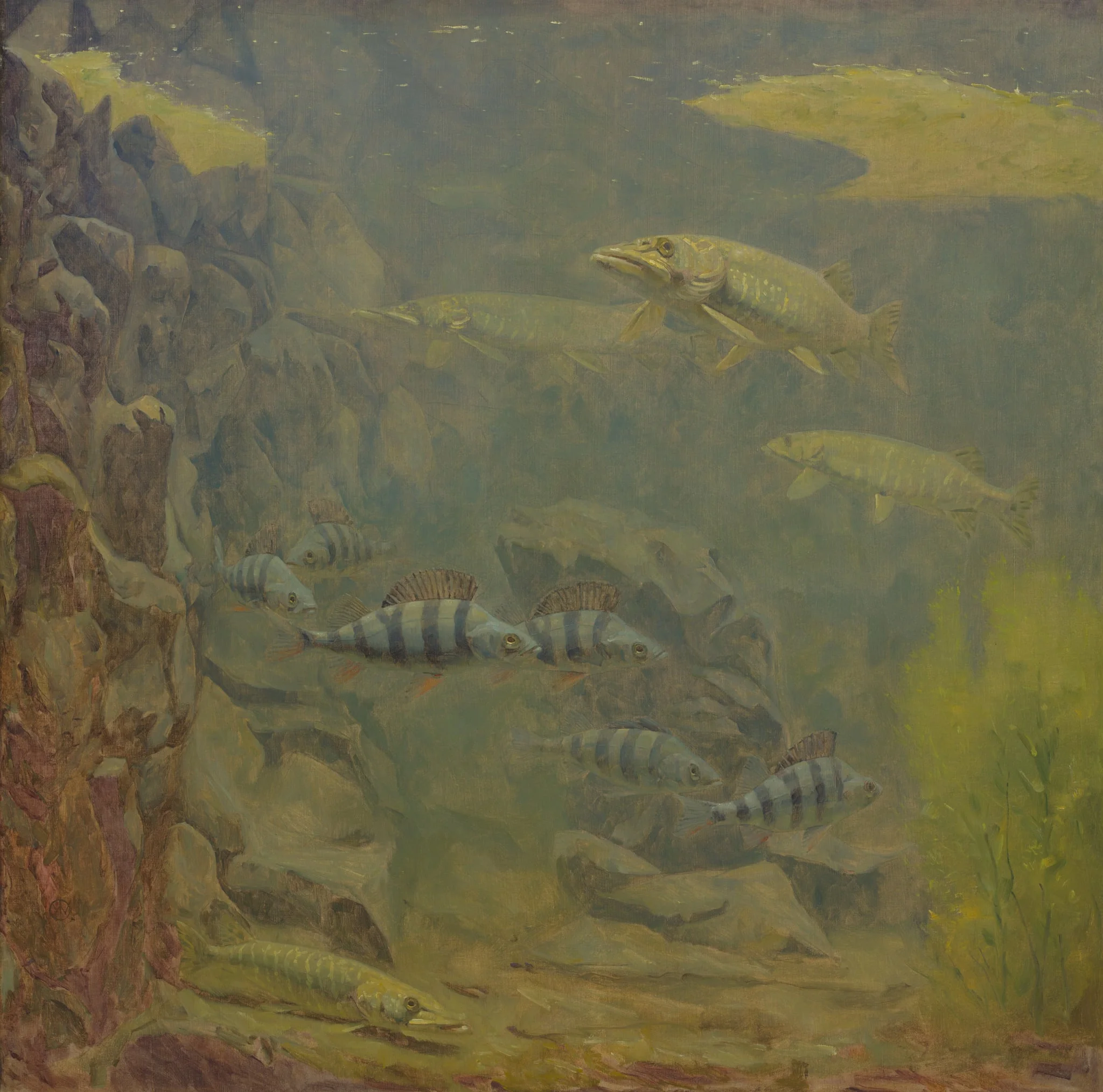 Pike and Perch in an Aquarium, by Unknown, unspecified, 1915