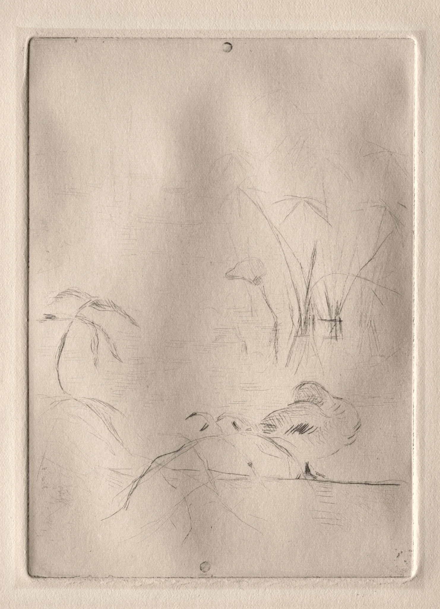 The Duck, by Berthe Morisot, 1889