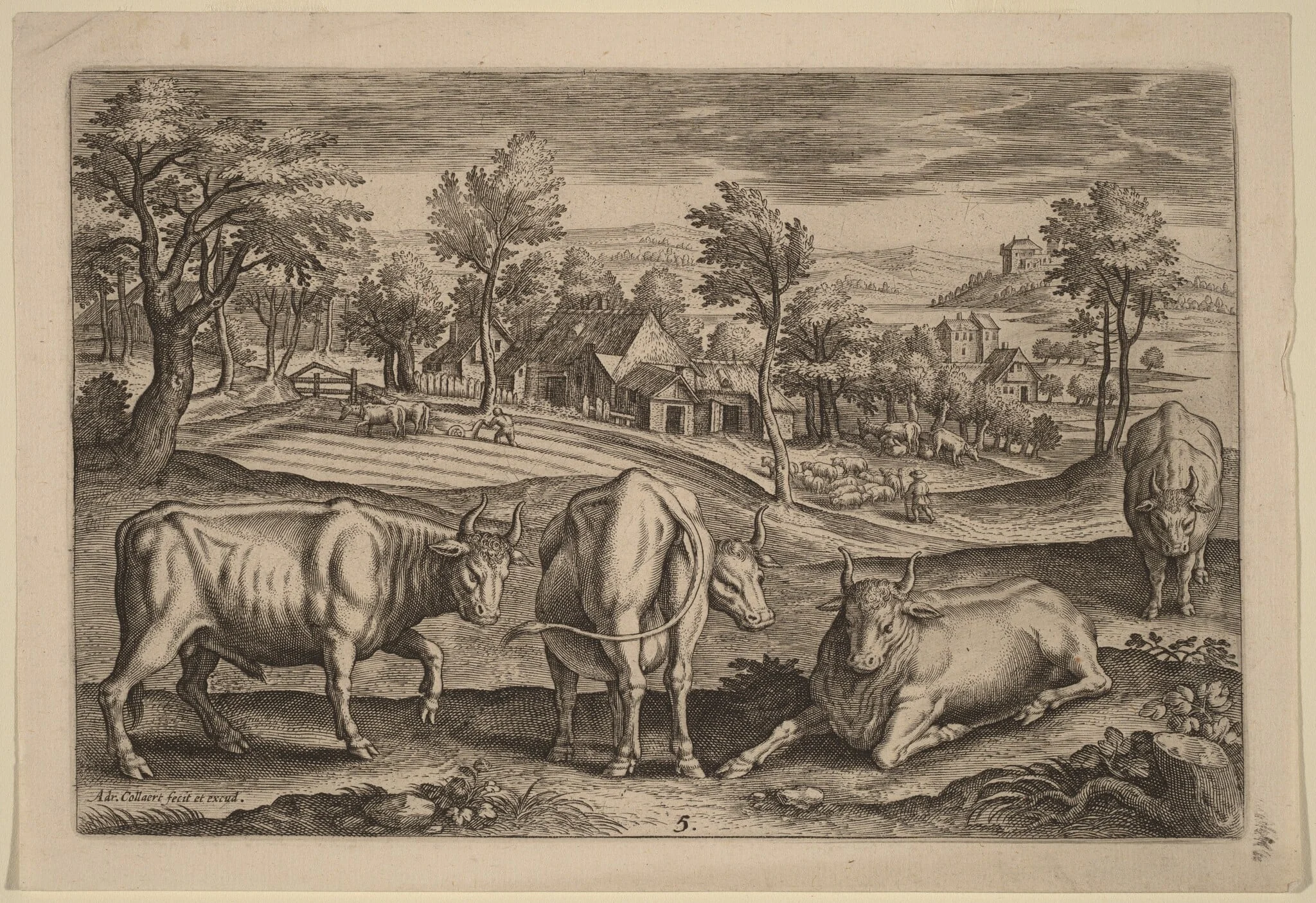 Four Bulls, by Adriaen Collaert, ink, 1597