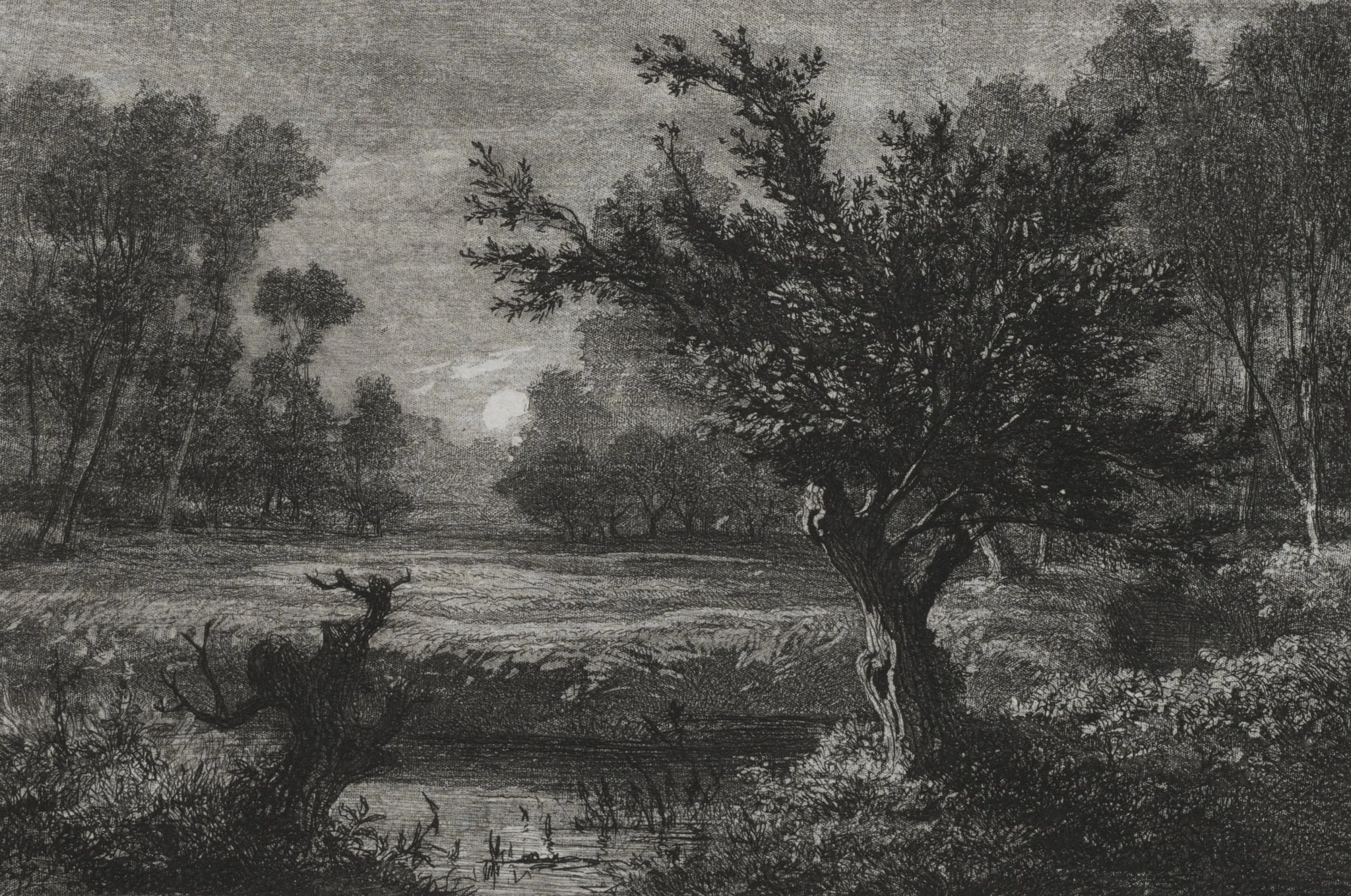Moonrise in the Andilly Valley, by Charles François Daubigny, 1845