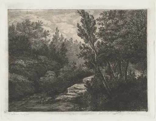 Selva (Woods)