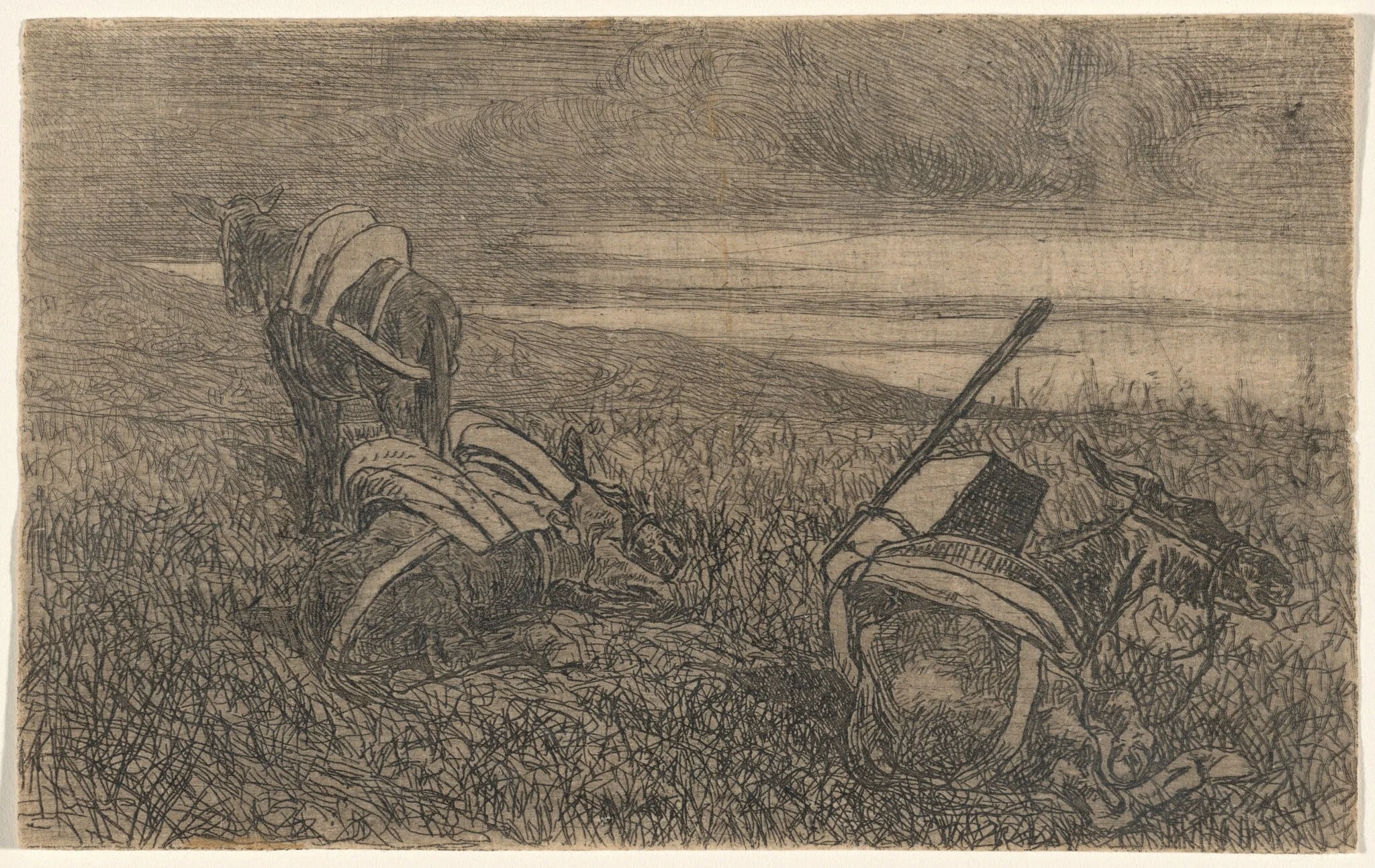 Little Donkeys at Rest (Sosta di somarelli), by Giovanni Fattori, ink, 1886