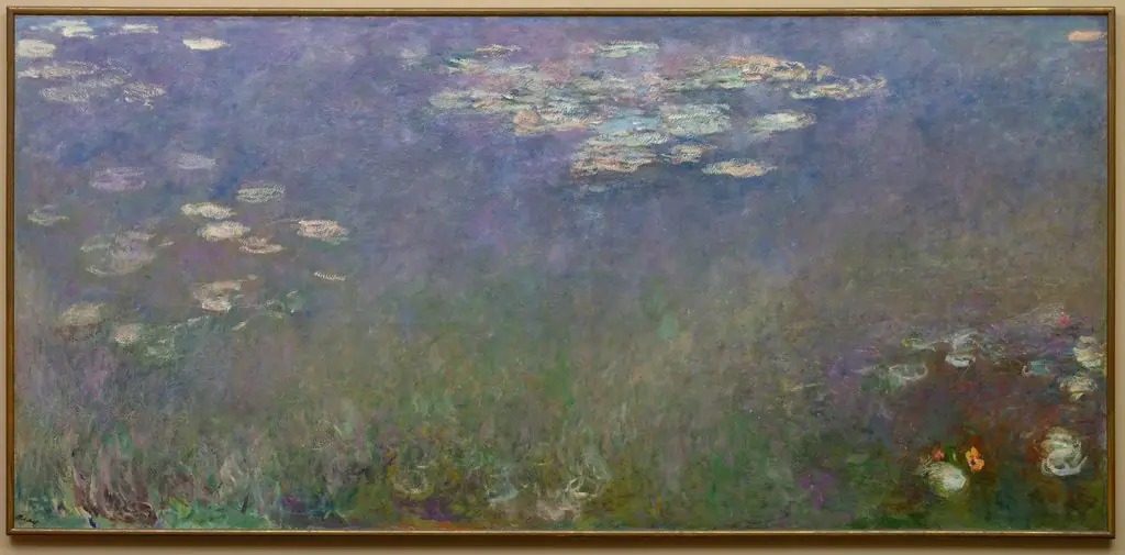 Water Lilies (Agapanthus)
