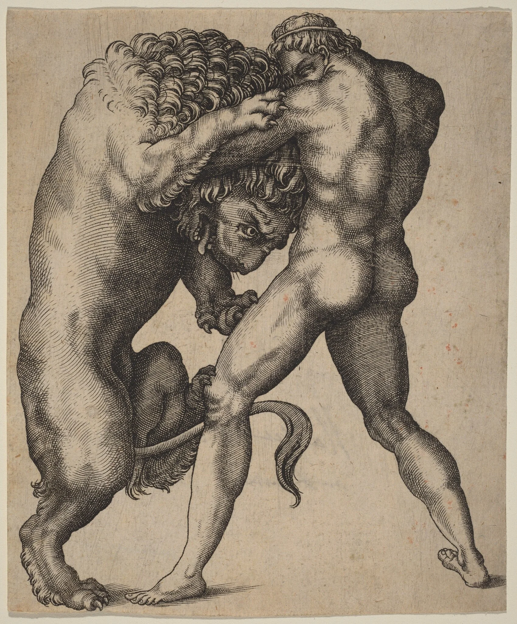 Hercules and the Nemean Lion, by Italian 16th Century, ink, 1550