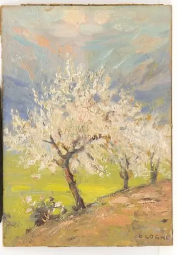 Pomi înfloriți