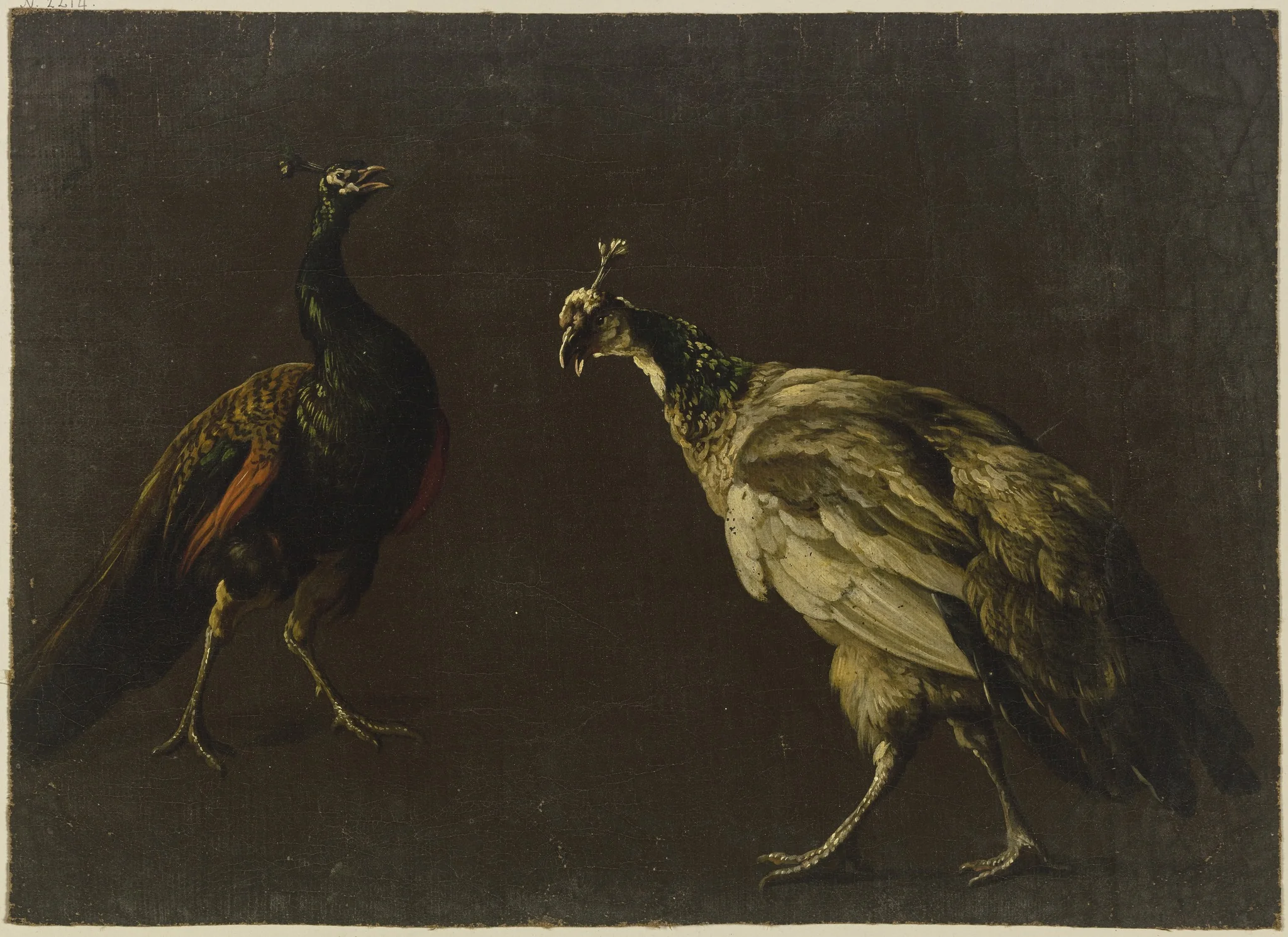 Peacock and peahen, by Jan Weenix, unspecified, 1700