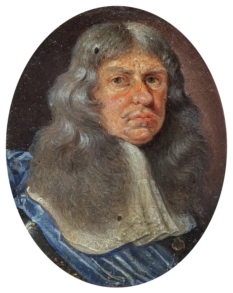 Portrait of a Man with Grey Hair