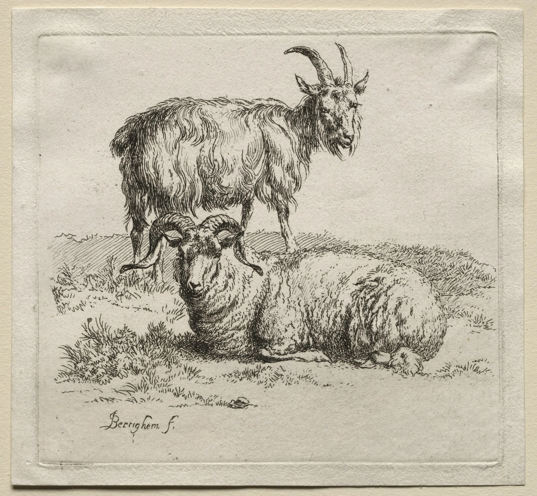 Animalia: Ram and Goat, by Nicolaes Pieterszoon Berchem, 1659