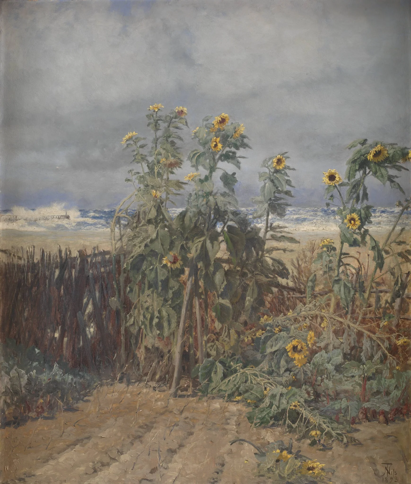 Sunflowers on a Beach, by Unknown, 1893