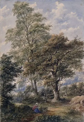 The skirts of a wood, with a girl and a dog