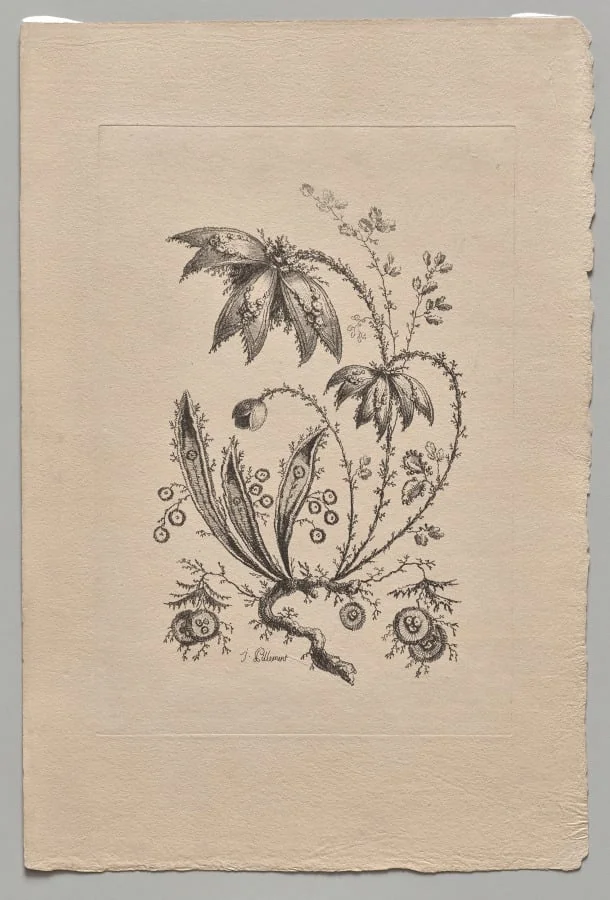 Persian Flowers, by Jean Pillement, 1755