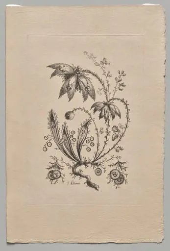 Persian Flowers