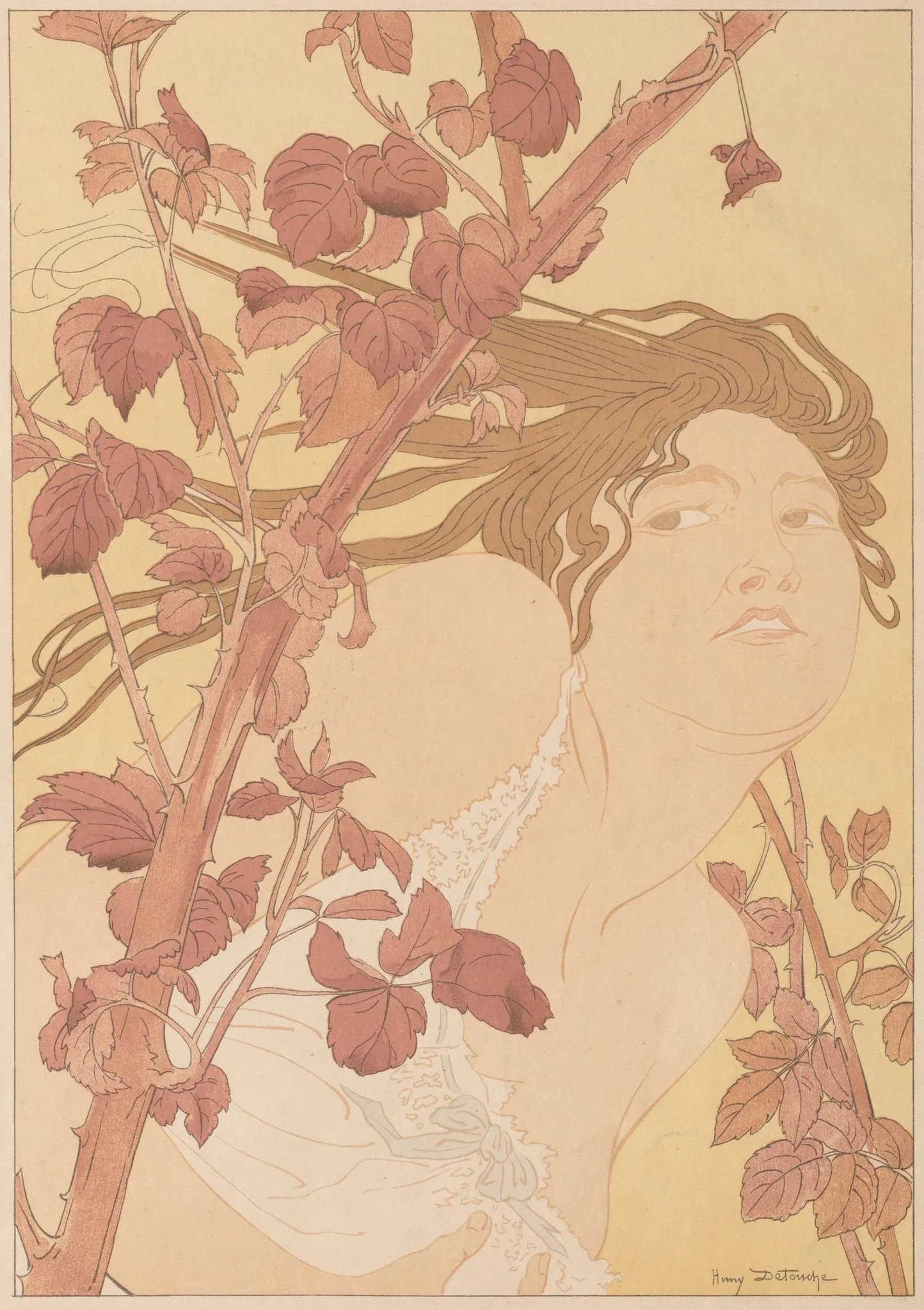 In the Brambles