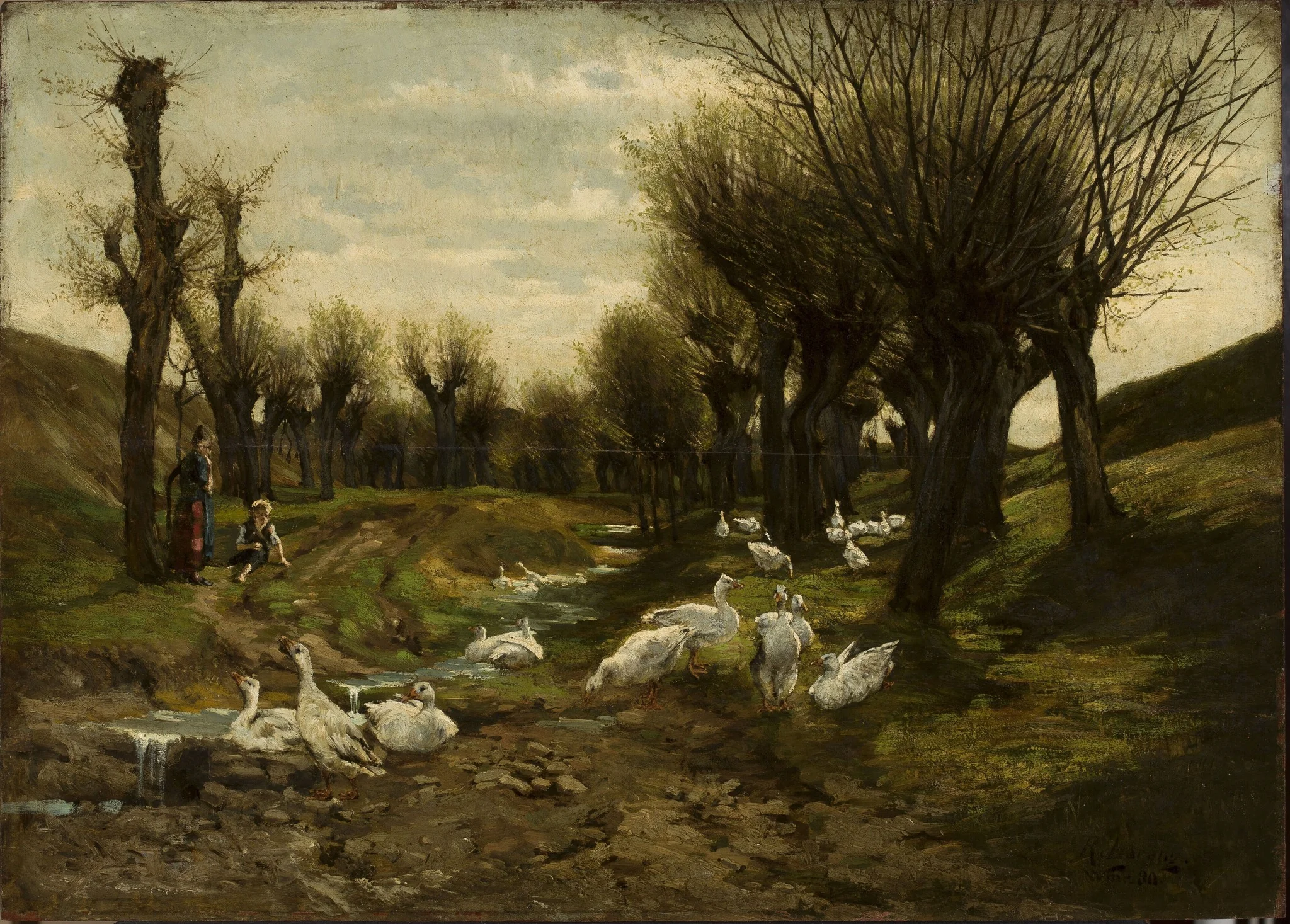 Geese alongside a creek