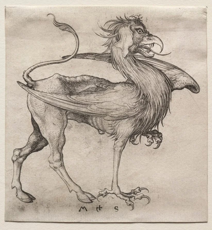 The Griffin, by Martin Schongauer, 1485