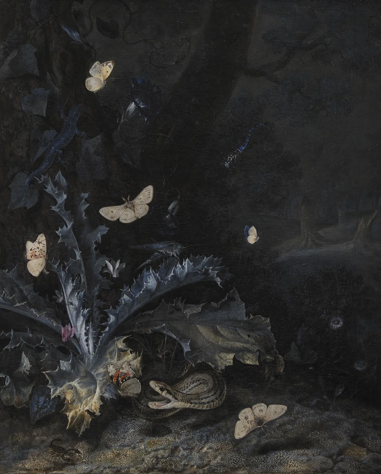 Still Life with Thistle and Snake, by Unknown, unspecified, 1663