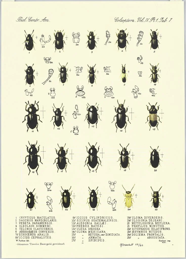 Untitled, by George Brecht, ink, 1981