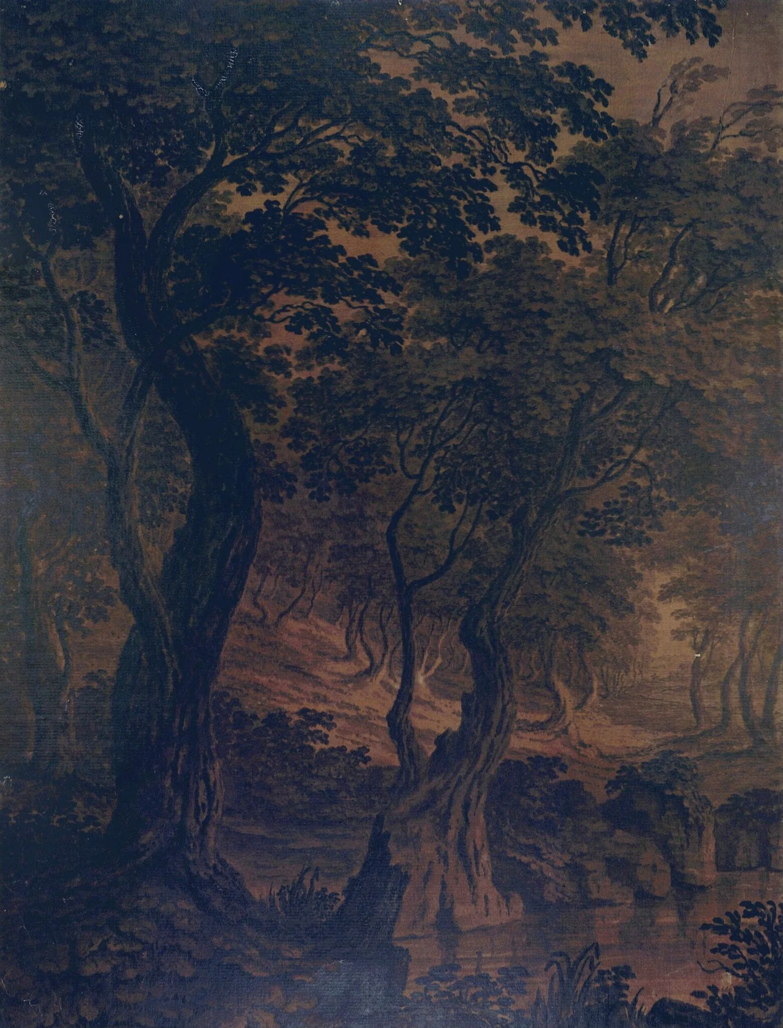 Wood Scene