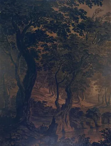 Wood Scene