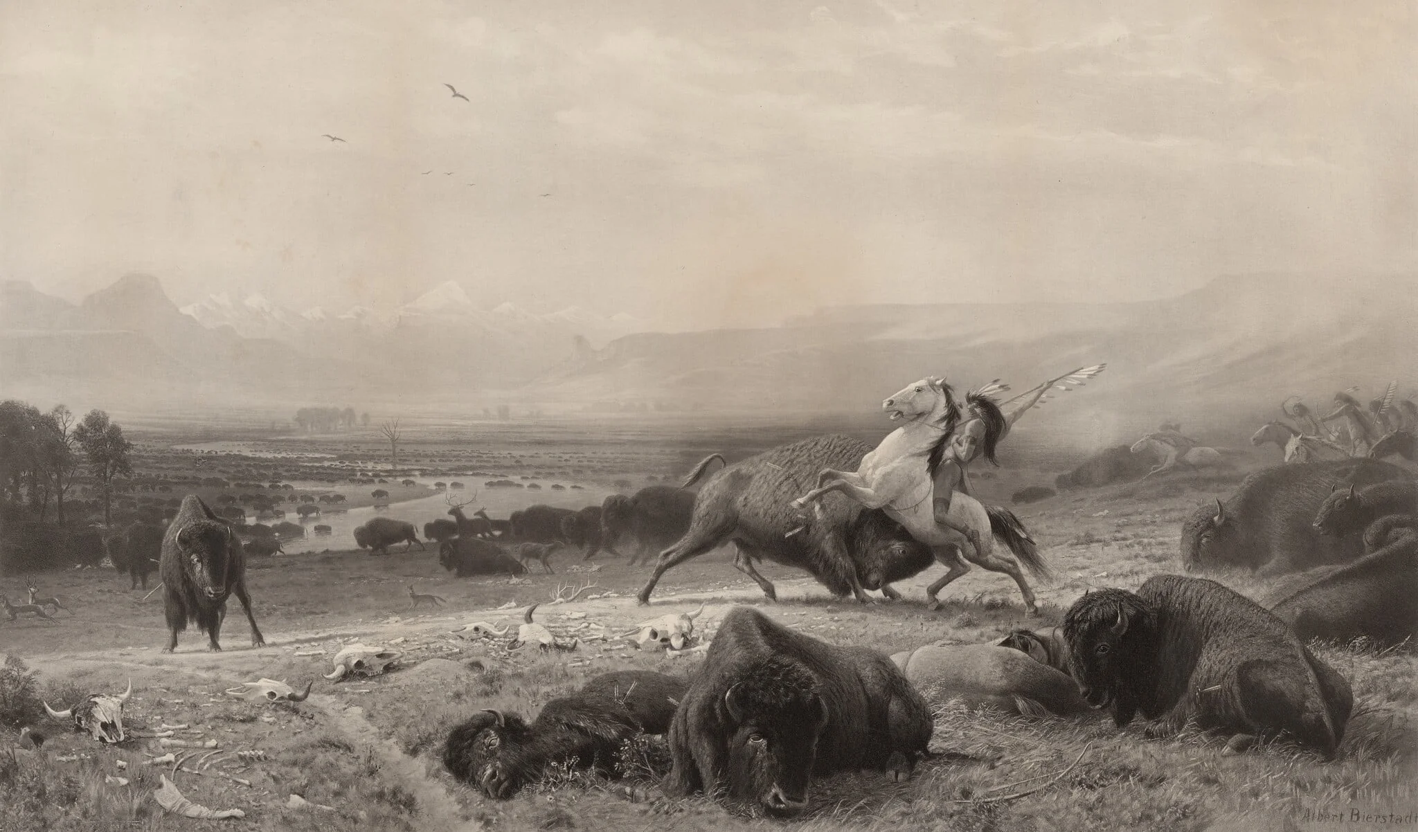 The Last of the Buffalo
