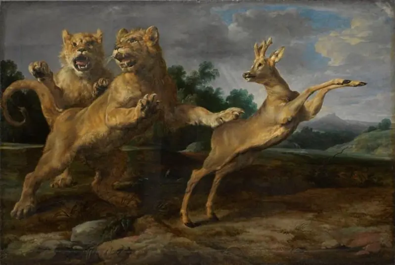 Two young lions chasing a roe