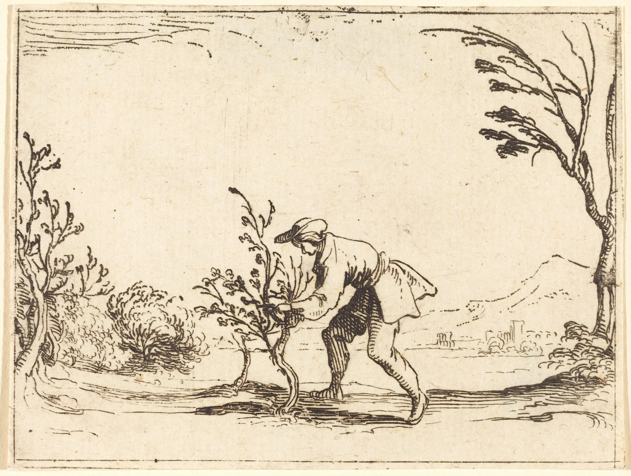 Man Cutting a Balm-Tree, by Jacques Callot, ink, 1628