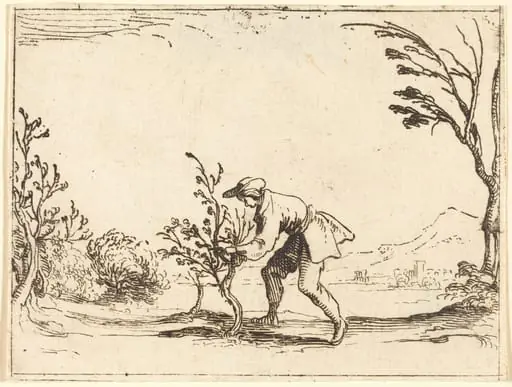 Man Cutting a Balm-Tree