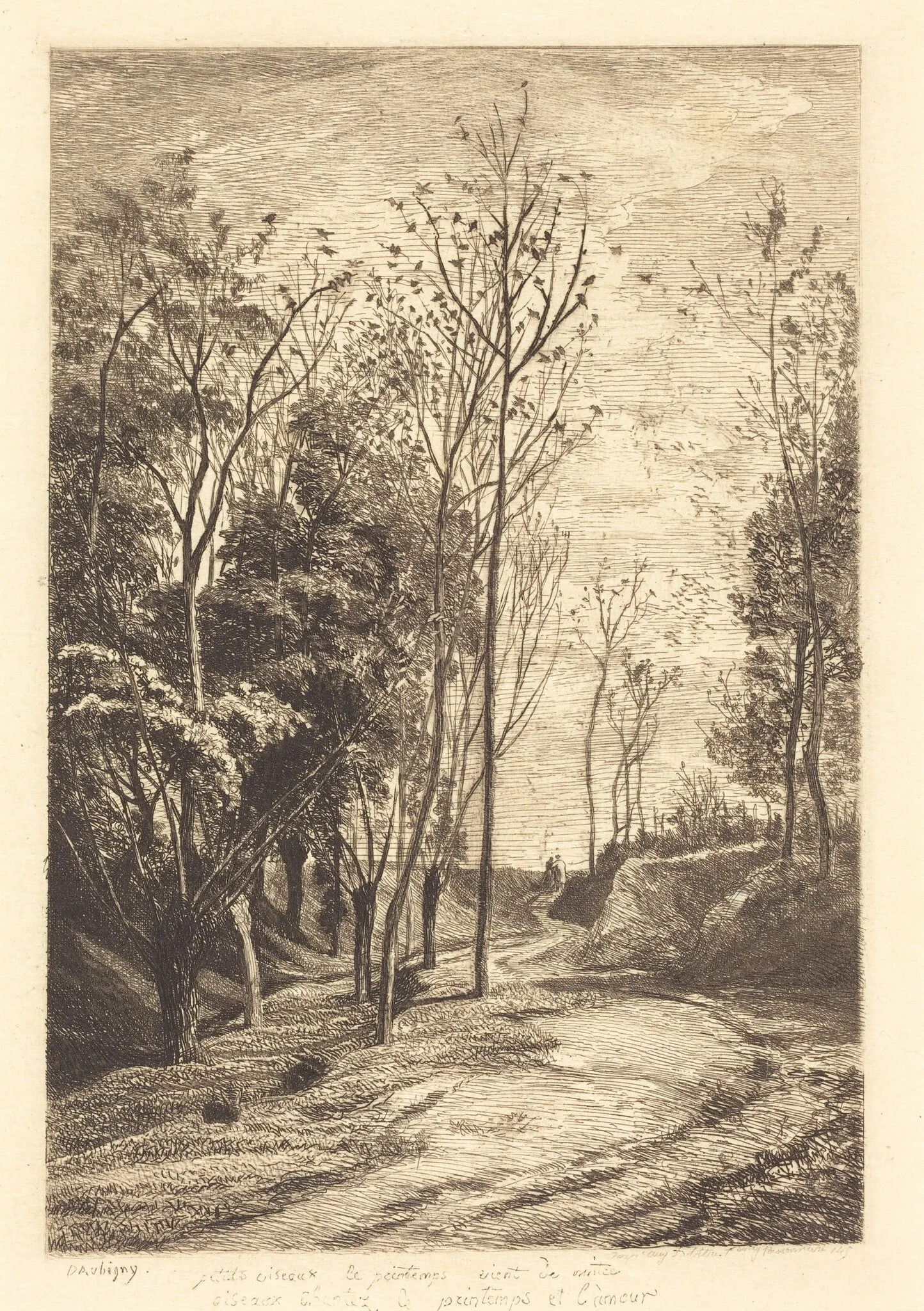 Little Birds (Les Petits oiseaux), by Charles François Daubigny, ink, 1850