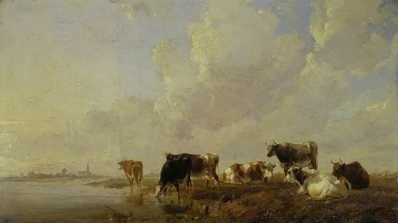 Cattle by a river
