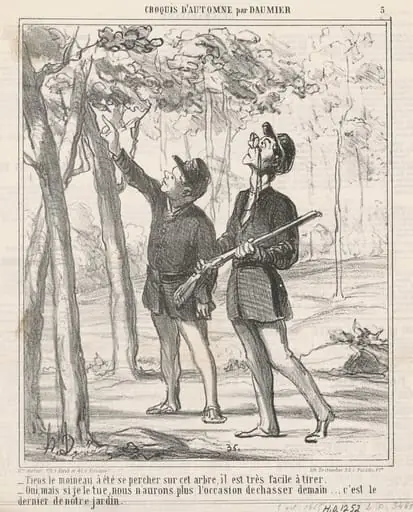 Tiens, le moineau a été sepercher