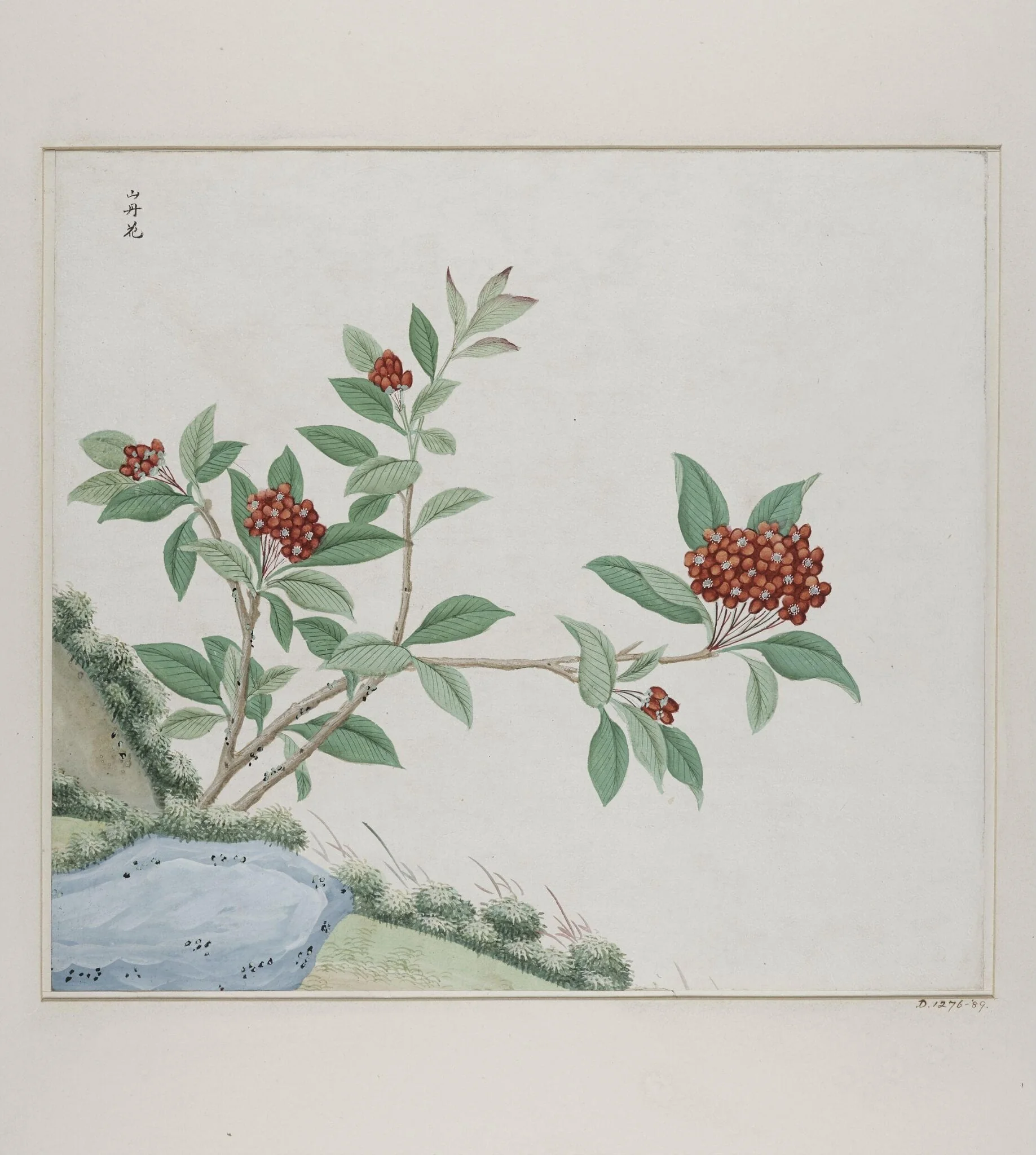 Shan dan hua, by Unknown, paint, 1780