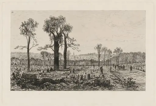 Avenue de Boulogne