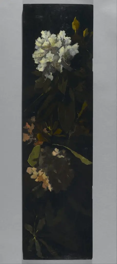 Rhododendrons