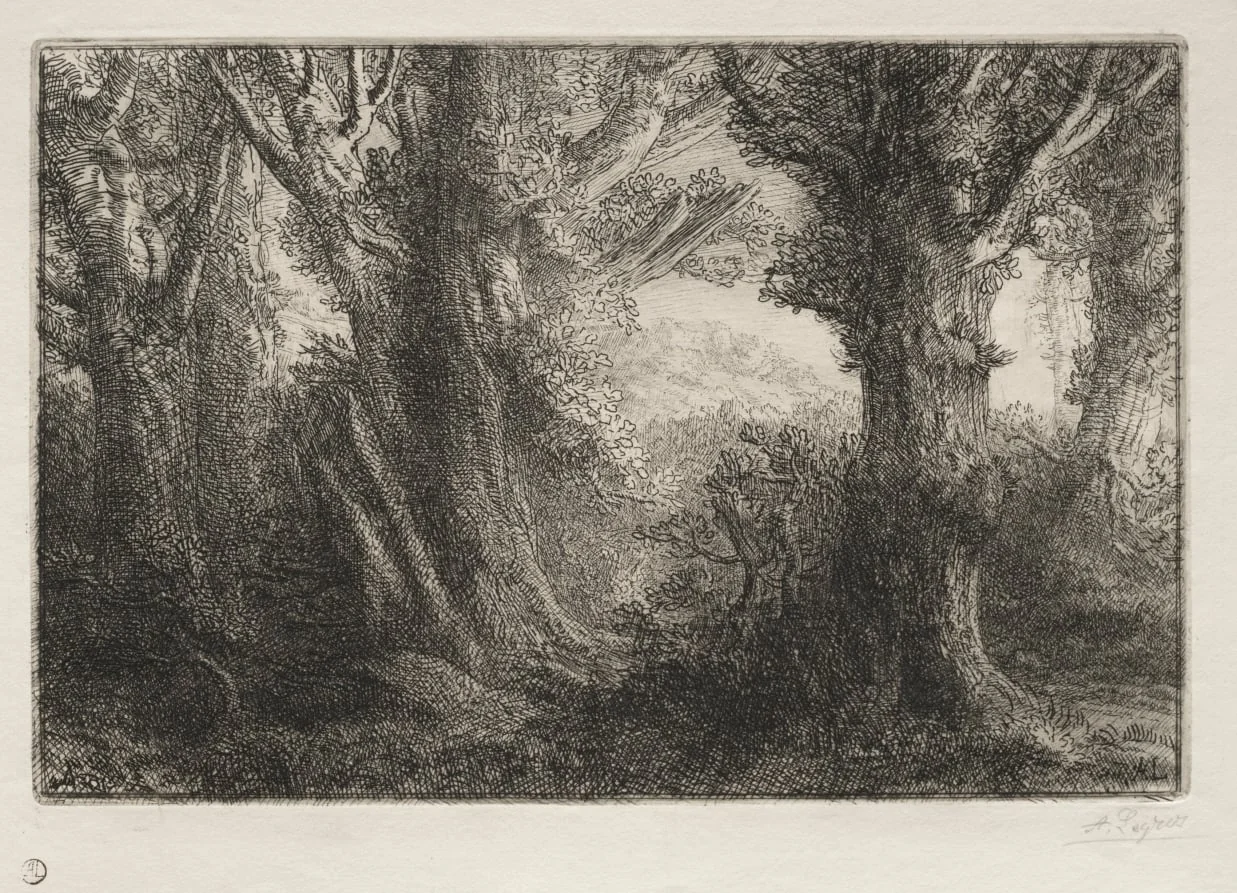 In the Forest at Conteville