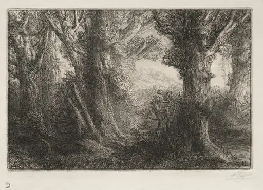 In the Forest at Conteville
