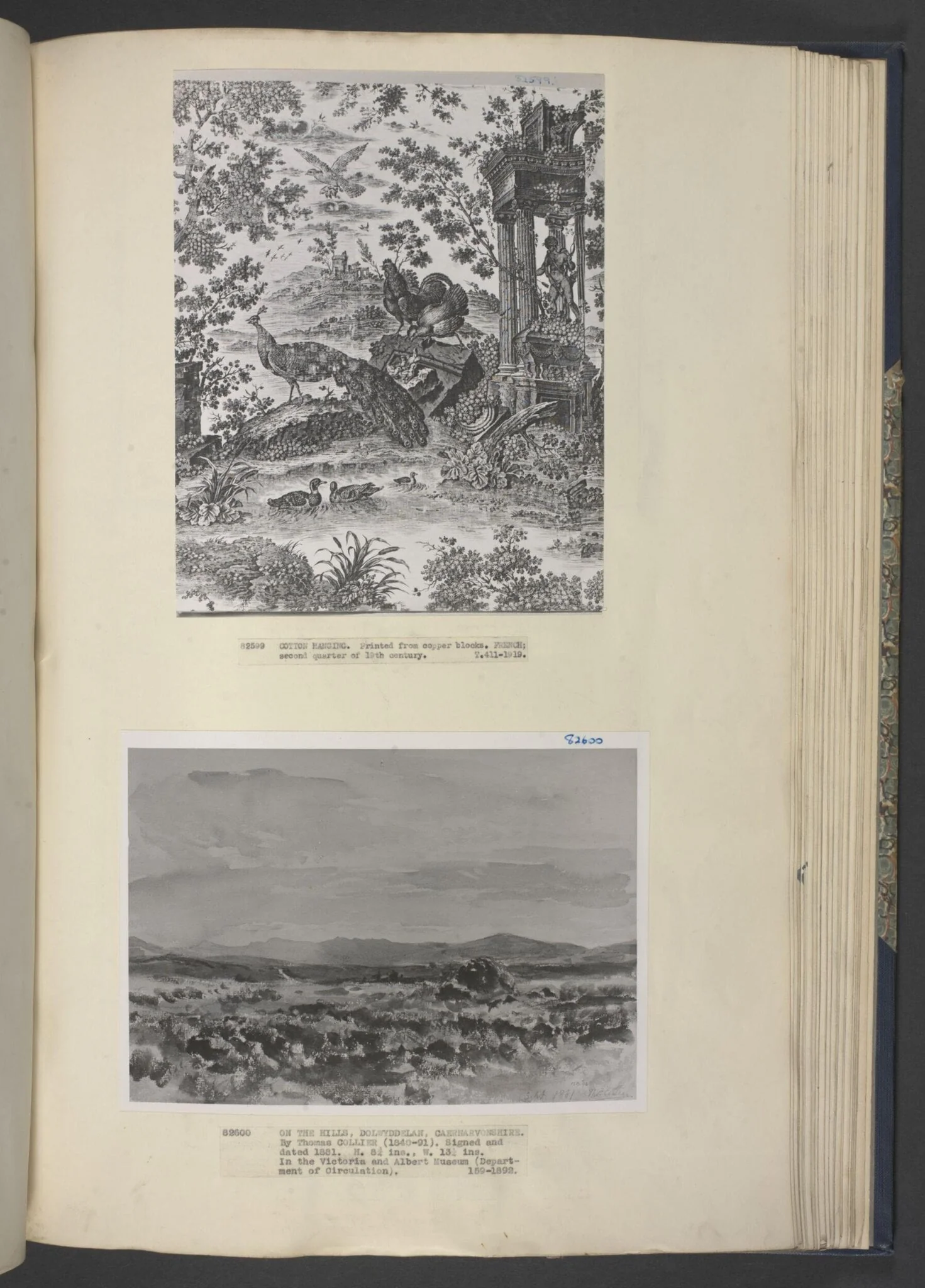 On the hills, Dolweddelan, North Wales