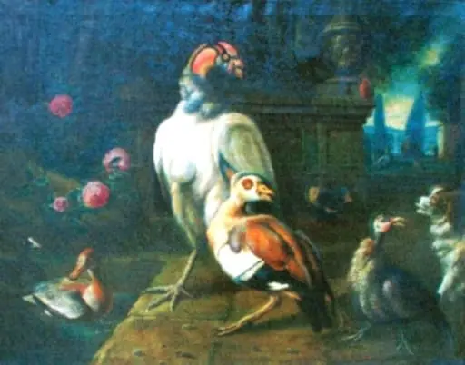 Păsări de curte