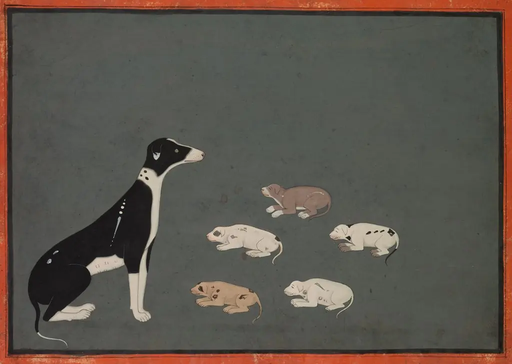 Dog with pups