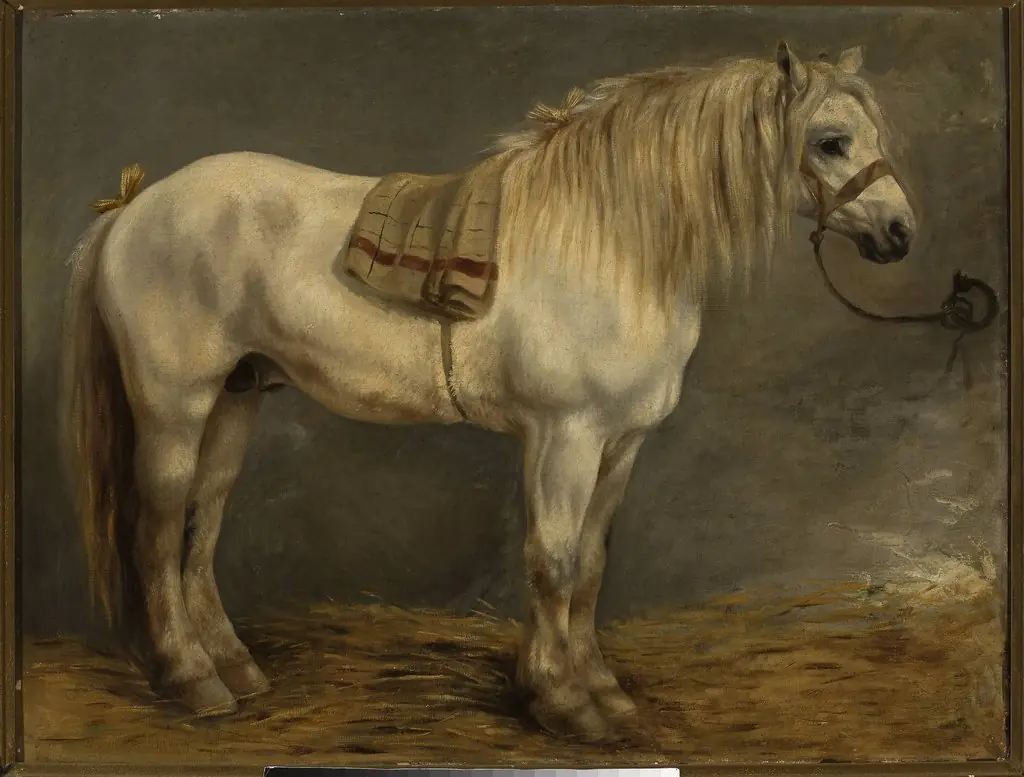 Horse in the stables