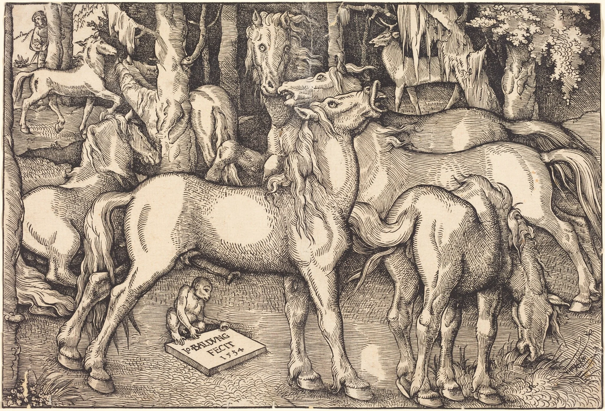 Group of Seven Horses, by Hans Baldung Grien, ink, 1534